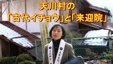 【動画】「天川村の巨大な「古代イチョウ」と「来迎院」にて～天河神社「牛王宝印」神事前のひととき～」をアップしました！